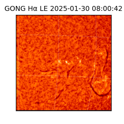 gong - 2025-01-30T08:00:42