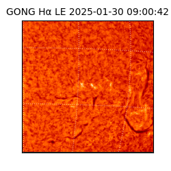 gong - 2025-01-30T09:00:42