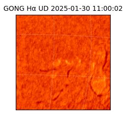 gong - 2025-01-30T11:00:02