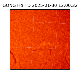 gong - 2025-01-30T12:00:22