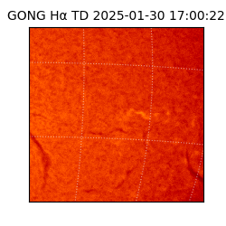 gong - 2025-01-30T17:00:22
