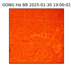 gong - 2025-01-30T19:00:02