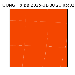 gong - 2025-01-30T20:05:02