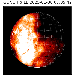 gong - 2025-01-30T07:05:42