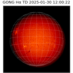 gong - 2025-01-30T12:00:22