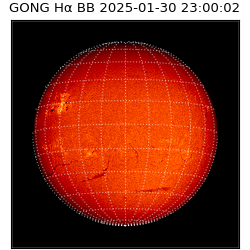 gong - 2025-01-30T23:00:02