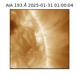 saia - 2025-01-31T01:00:04.843000