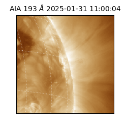 saia - 2025-01-31T11:00:04.843000