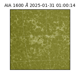 saia - 2025-01-31T01:00:14.125000