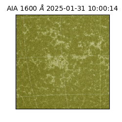 saia - 2025-01-31T10:00:14.125000