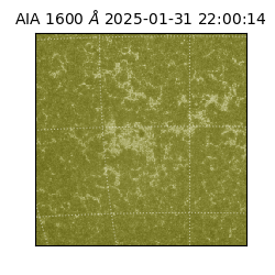 saia - 2025-01-31T22:00:14.129000