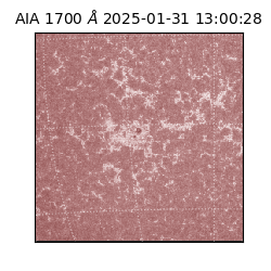 saia - 2025-01-31T13:00:28.718000