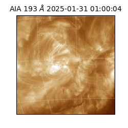 saia - 2025-01-31T01:00:04.843000