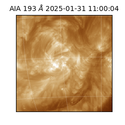 saia - 2025-01-31T11:00:04.843000