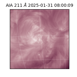 saia - 2025-01-31T08:00:09.626000