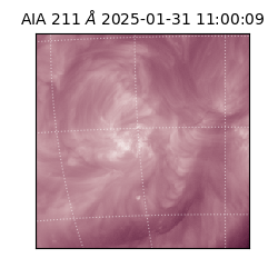 saia - 2025-01-31T11:00:09.626000