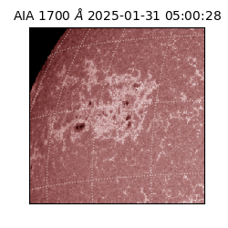 saia - 2025-01-31T05:00:28.721000