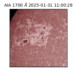 saia - 2025-01-31T11:00:28.720000