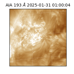 saia - 2025-01-31T01:00:04.843000