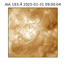 saia - 2025-01-31T09:00:04.843000