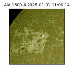 saia - 2025-01-31T11:00:14.126000