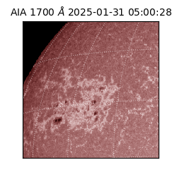 saia - 2025-01-31T05:00:28.721000