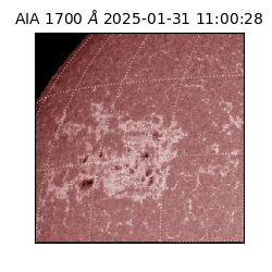 saia - 2025-01-31T11:00:28.720000