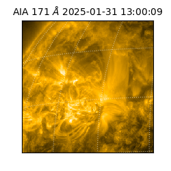 saia - 2025-01-31T13:00:09.342000