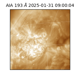 saia - 2025-01-31T09:00:04.843000