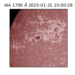 saia - 2025-01-31T23:00:28.717000