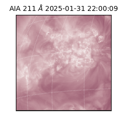 saia - 2025-01-31T22:00:09.630000