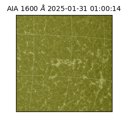 saia - 2025-01-31T01:00:14.125000