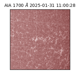 saia - 2025-01-31T11:00:28.720000