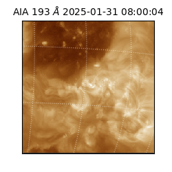 saia - 2025-01-31T08:00:04.843000