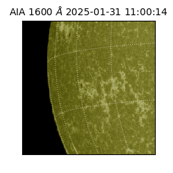 saia - 2025-01-31T11:00:14.126000