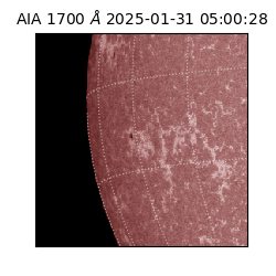 saia - 2025-01-31T05:00:28.721000