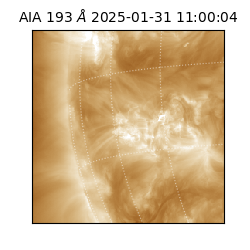 saia - 2025-01-31T11:00:04.843000