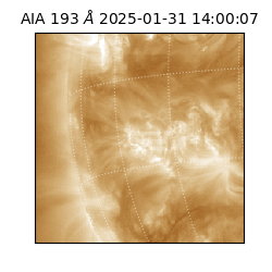 saia - 2025-01-31T14:00:07.302000