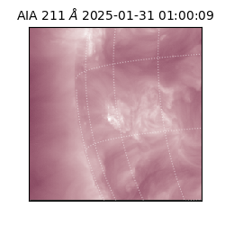 saia - 2025-01-31T01:00:09.626000