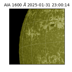 saia - 2025-01-31T23:00:14.125000