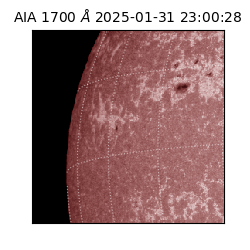 saia - 2025-01-31T23:00:28.717000