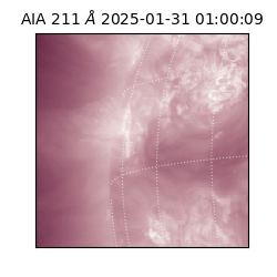 saia - 2025-01-31T01:00:09.626000