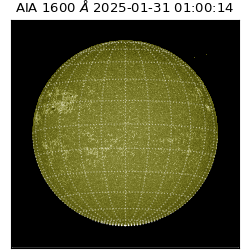 saia - 2025-01-31T01:00:14.125000