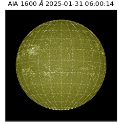 saia - 2025-01-31T06:00:14.126000