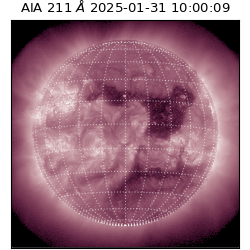 saia - 2025-01-31T10:00:09.626000