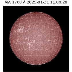 saia - 2025-01-31T11:00:28.720000