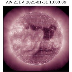 saia - 2025-01-31T13:00:09.619000