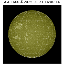 saia - 2025-01-31T16:00:14.117000