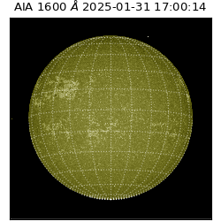 saia - 2025-01-31T17:00:14.126000