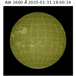 saia - 2025-01-31T18:00:14.126000